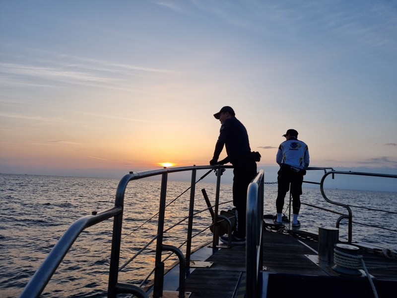 해당 선사를 대표하는 이미지