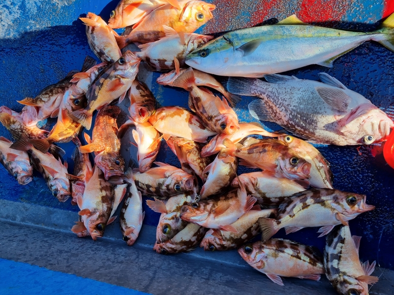 해당 선사를 대표하는 이미지