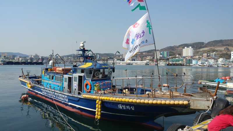 해당 선사를 대표하는 이미지