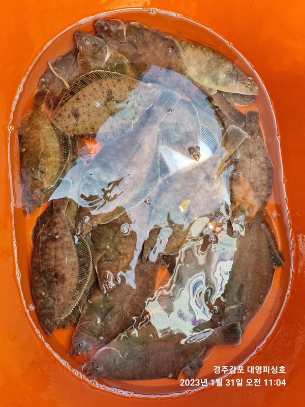 해당 선사를 대표하는 이미지