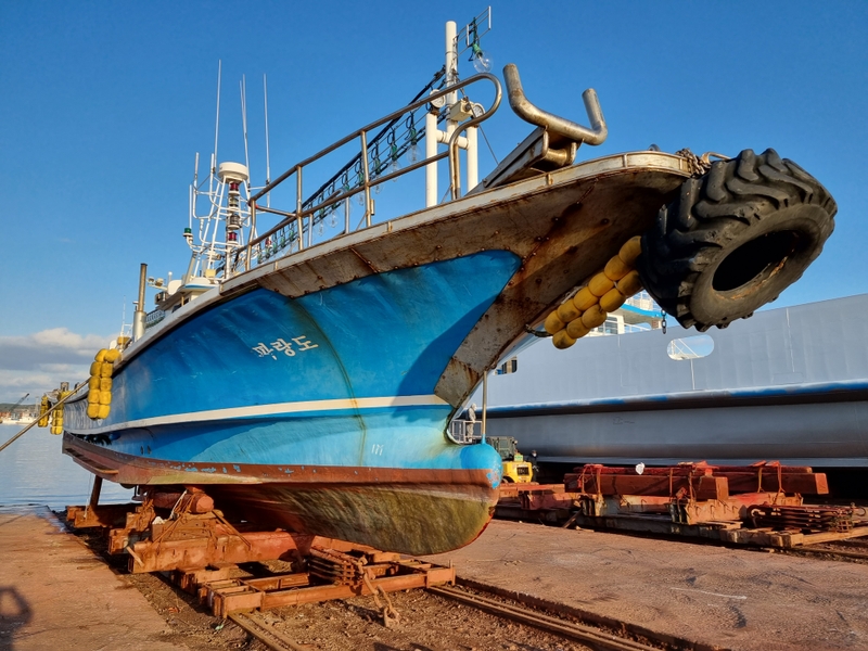 해당 선사를 대표하는 이미지