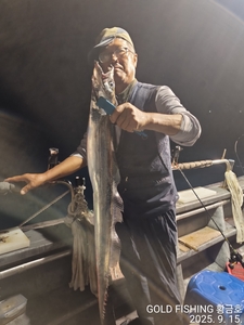 갈치조황입니다 선상낚시로 잡은 물고기 조황