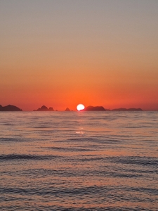 주말 갈치 텐빈텐야 조황입니다 선상낚시로 잡은 물고기 조황