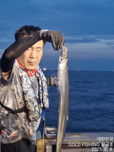 갈치  금요일 조황 선상낚시로 잡은 물고기 조황