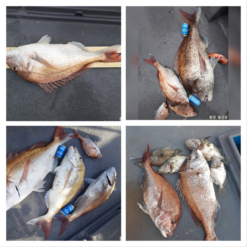 해당 선사를 대표하는 이미지