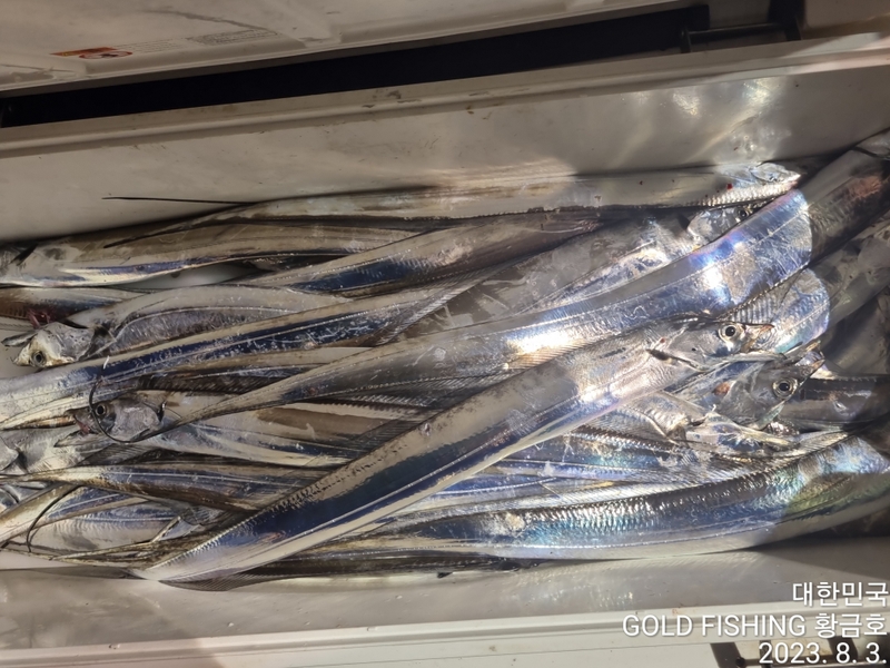 해당 선사를 대표하는 이미지