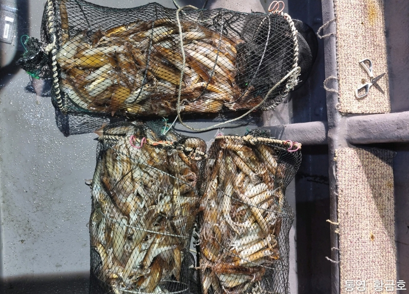 해당 선사를 대표하는 이미지