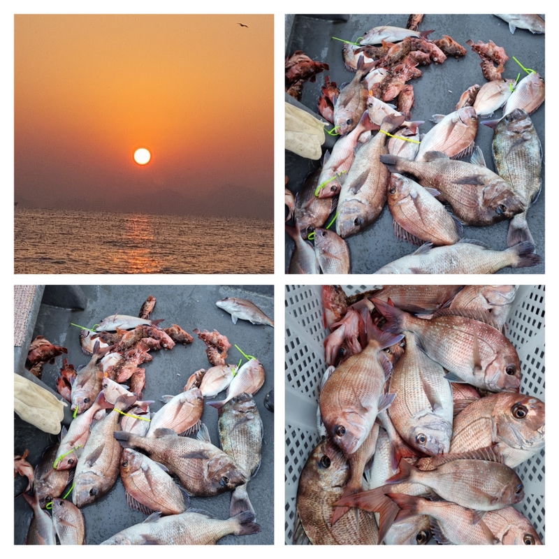 해당 선사를 대표하는 이미지