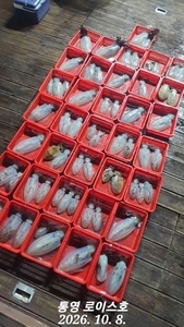 살아나는 팁런~ 선상낚시로 잡은 물고기 조황