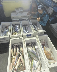 [제주 물곰호]시원한 제주 밤바의! 참돔 대전갱이 대갈치 대고등어 야간  선상낚시로 잡은 물고기 조황