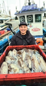 [제주 물곰호] 여전한 제주 갑오징어 게임! 차귀도권 대물 갑오징어 종료 선상낚시로 잡은 물고기 조황