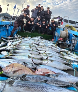 [제주 물곰호]더욱 격렬해져 가는 제주 북부권 지깅 파티!특대방어 대삼치 선상낚시로 잡은 물고기 조황