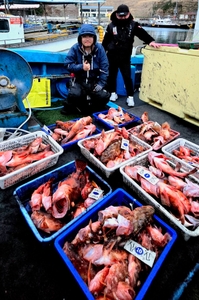 [제주 물곰호] 바리바리 쏨바리!왕쏨뱅이 집중 공략 이벤트 출조ㅡ3월11 선상낚시로 잡은 물고기 조황