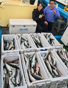 [제주 물곰호]대전갱이 대갈치 참돔 대포한치! 야라지 시즌은 이제야 시작 선상낚시로 잡은 물고기 조황