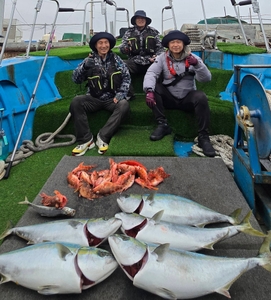 [제주 물곰호]  3인 독선! 오전 반나절 특대방어 지깅ㅡ2월14일 선상낚시로 잡은 물고기 조황
