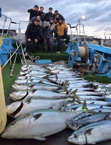 [제주 물곰호] 조금 물때에도 피딩은 터진다! 특대방어 대삼치 지깅 파티 선상낚시로 잡은 물고기 조황