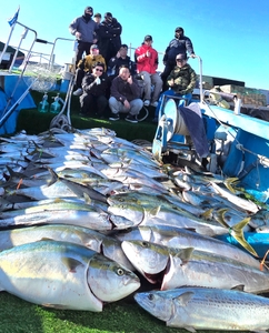 [물곰호] 출항만 하면 대박만선 지깅 파티! 14.5kg 돼방어 등장 선상낚시로 잡은 물고기 조황