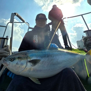 [제주 물곰호] 절망적 무시 물때에 렌탈장비 8세트와 너울과 강풍속에서도 선상낚시로 잡은 물고기 조황