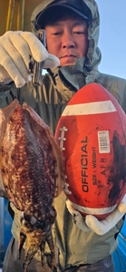 [제주 물곰호] 꾸준히 살아나는 차귀~비양도권 조황! 심해 갑오징어 에깅 선상낚시로 잡은 물고기 조황