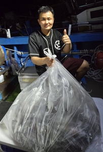 [제주 물곰호] 백야같은 밤바다!역대급 제주 서부권 한치 대풍년ㅡ7월28 선상낚시로 잡은 물고기 조황