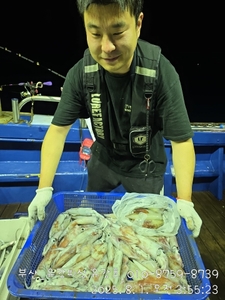 [부산 유강피싱] 7월 31일 한치 & 갈치 쉴세없이 퍽퍽~~ 선상낚시로 잡은 물고기 조황