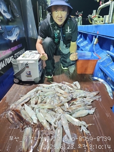 [부산 유강피싱]유강호 부산권 한치/오징어 호조황소식입니다 선상낚시로 잡은 물고기 조황