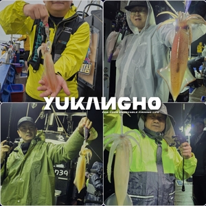 (부산 유강피싱) 유강호 부산권 드디어 한치 입성했습니다 선상낚시로 잡은 물고기 조황