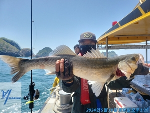 5월19일 만재도 농어 타이라바 선상낚시로 잡은 물고기 조황
