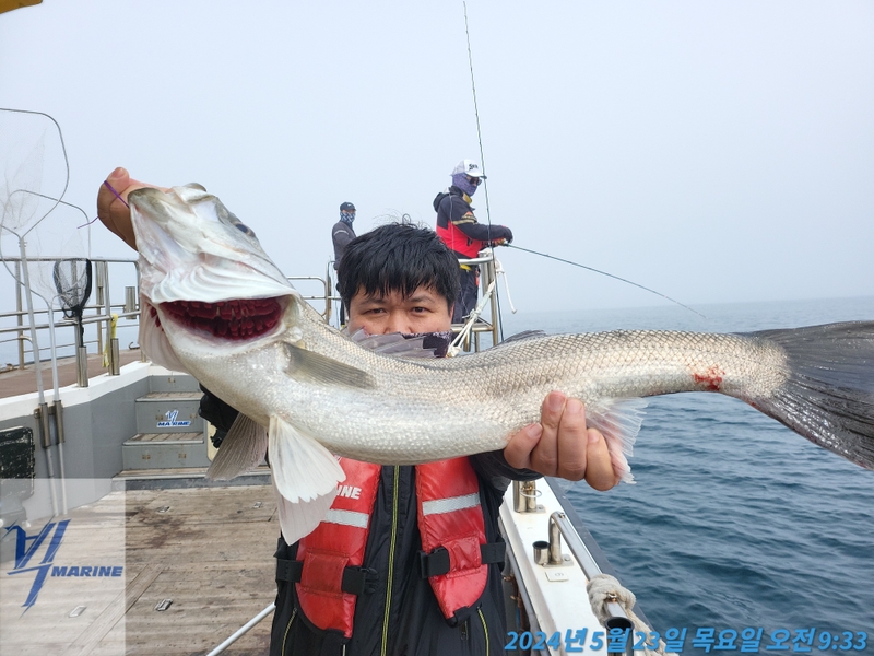 진도빅마린호의 조황일지 이미지 - 3