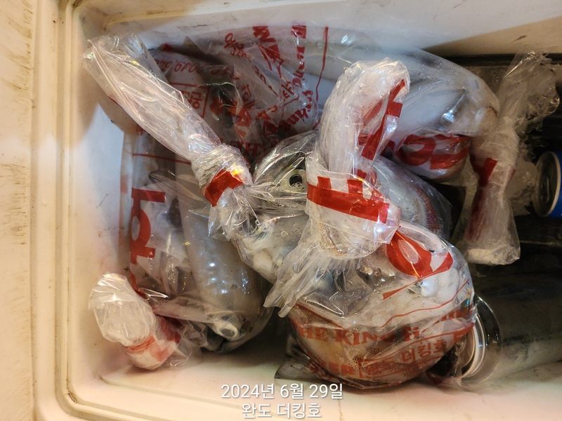 완도더킹호의 조황일지 이미지 - 17