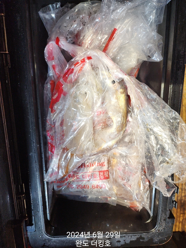 완도더킹호의 조황일지 이미지 - 12