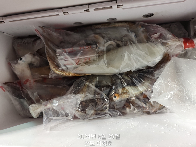 완도더킹호의 조황일지 이미지 - 18