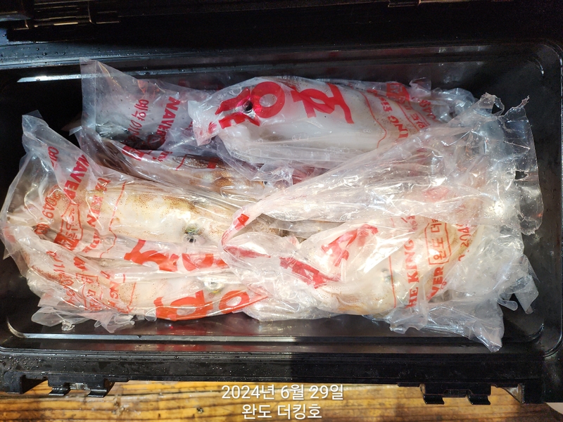 완도더킹호의 조황일지 이미지 - 19