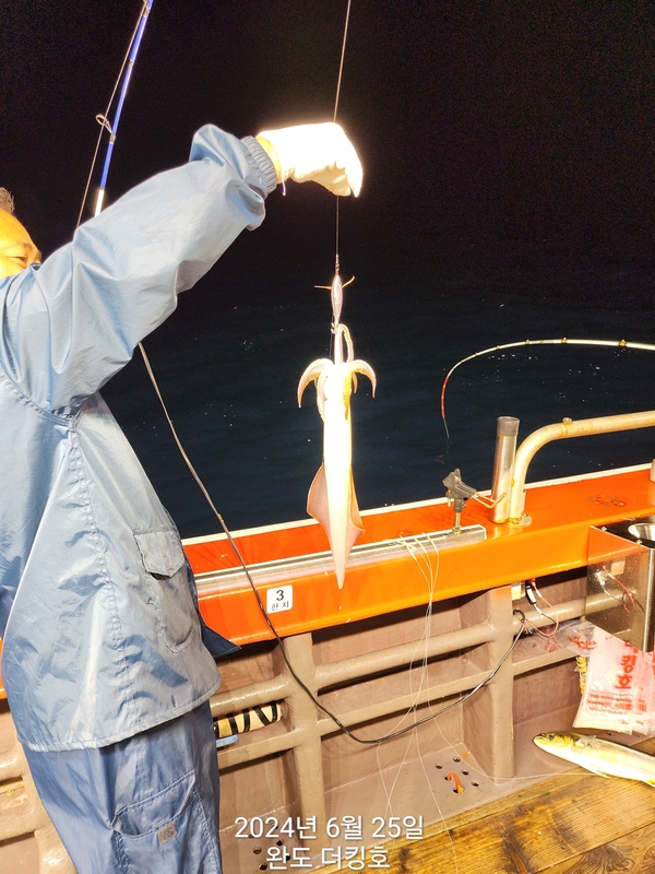 완도더킹호의 조황일지 이미지 - 1