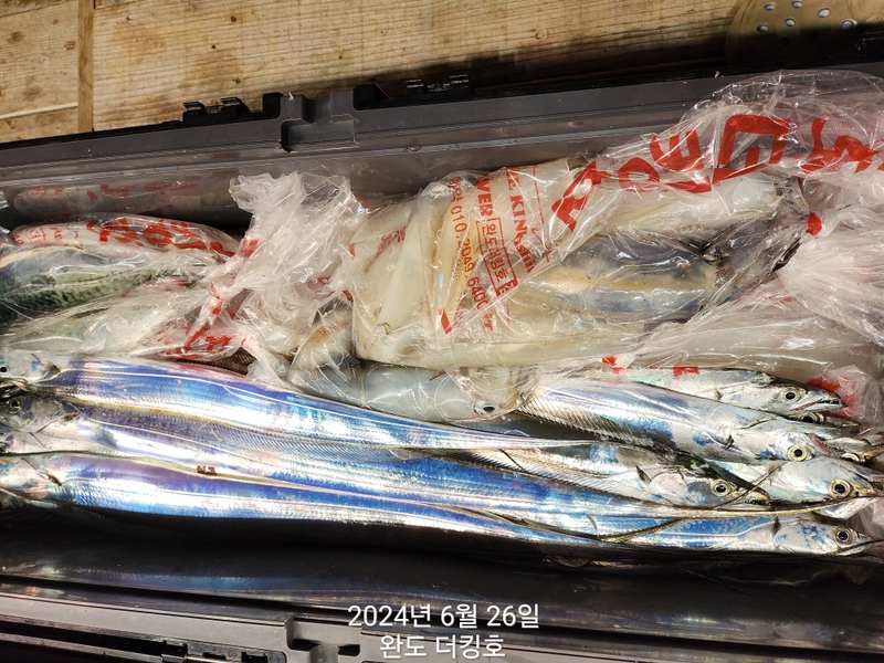 완도더킹호의 조황일지 이미지 - 8