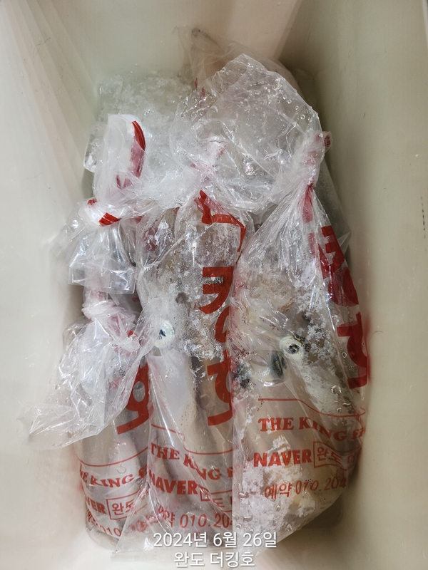 완도더킹호의 조황일지 이미지 - 14