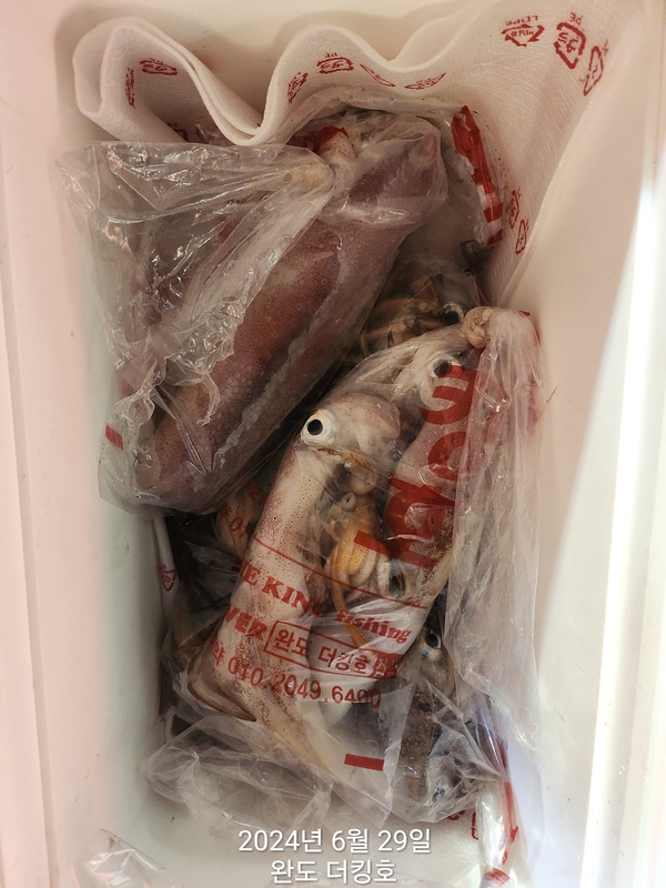 완도더킹호의 조황일지 이미지 - 15