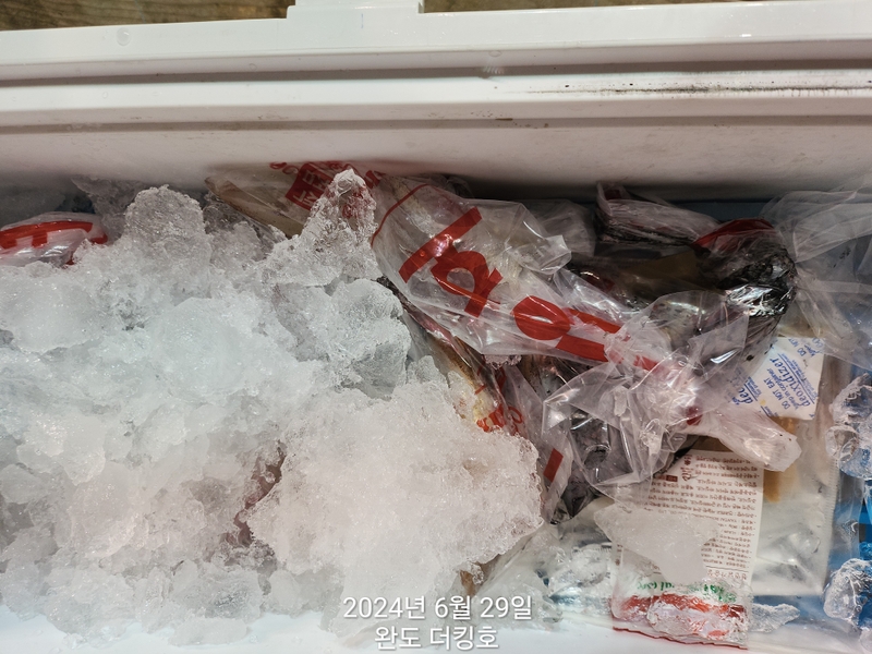 완도더킹호의 조황일지 이미지 - 11