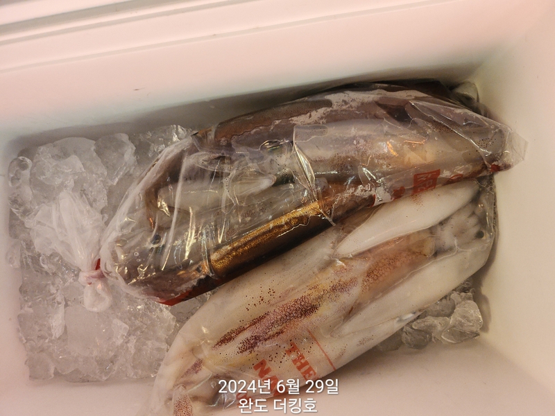 완도더킹호의 조황일지 이미지 - 16