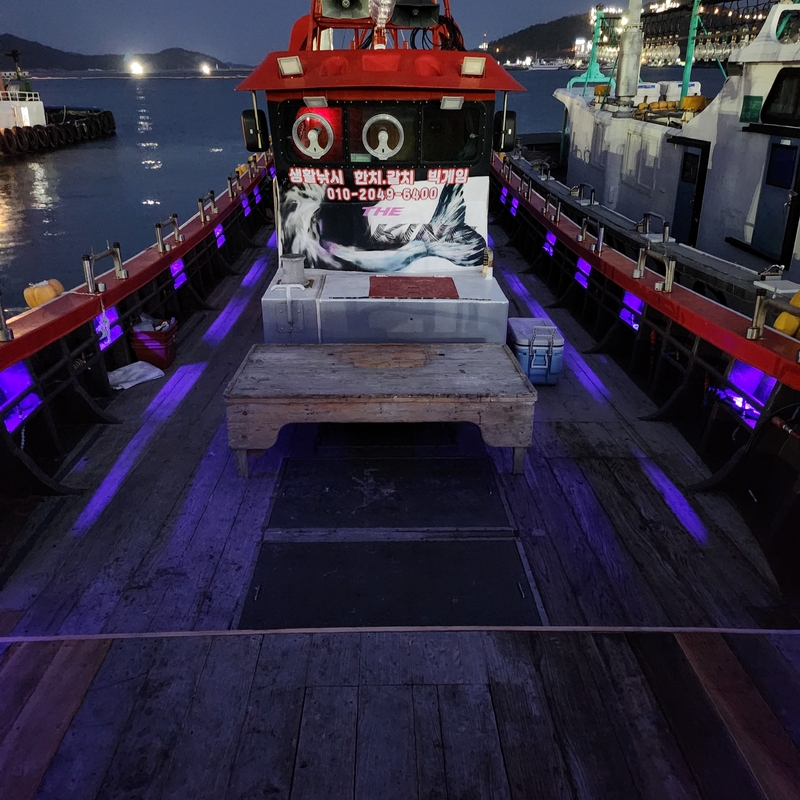 해당 선사를 대표하는 이미지