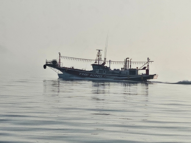 해당 선사를 대표하는 이미지