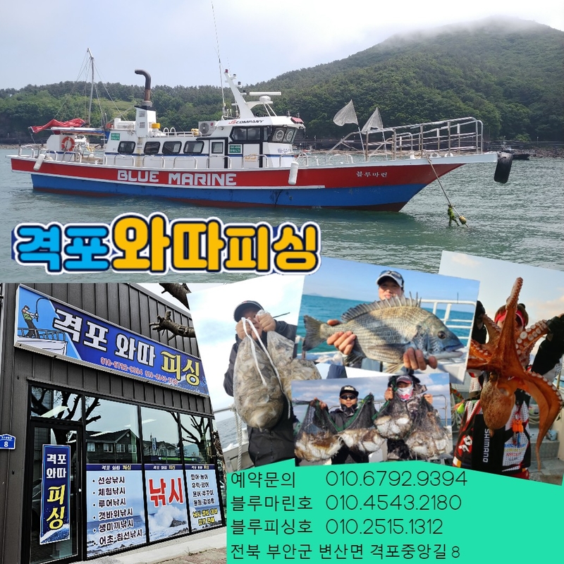 해당 선사를 대표하는 이미지