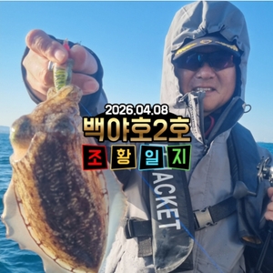 [백야호2호]26.04.08제주심해갑오징어 조황 선상낚시로 잡은 물고기 조황