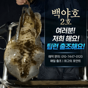 백야호 팁런출조합니다 선상낚시로 잡은 물고기 조황