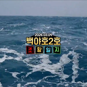 [백야호2호]26.03.09심해갑오징어 조황일지 선상낚시로 잡은 물고기 조황