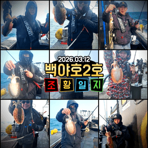 [백야호2호]제주 심해갑오징어 26.03.12목 선상낚시로 잡은 물고기 조황