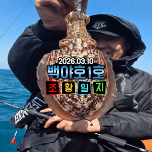 [백야호1호]26.03.10 제주 심해갑오징어 선상낚시로 잡은 물고기 조황