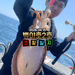 [백야호2호]26.04.15제주심해갑오징어 조황일지 선상낚시로 잡은 물고기 조황