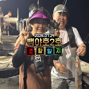 2026.07.29 제주 백야호 야간 선상 한치 조황 선상낚시로 잡은 물고기 조황