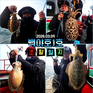 [백야호1호]26.03.09(월)심해갑오징어 조황일지 선상낚시로 잡은 물고기 조황